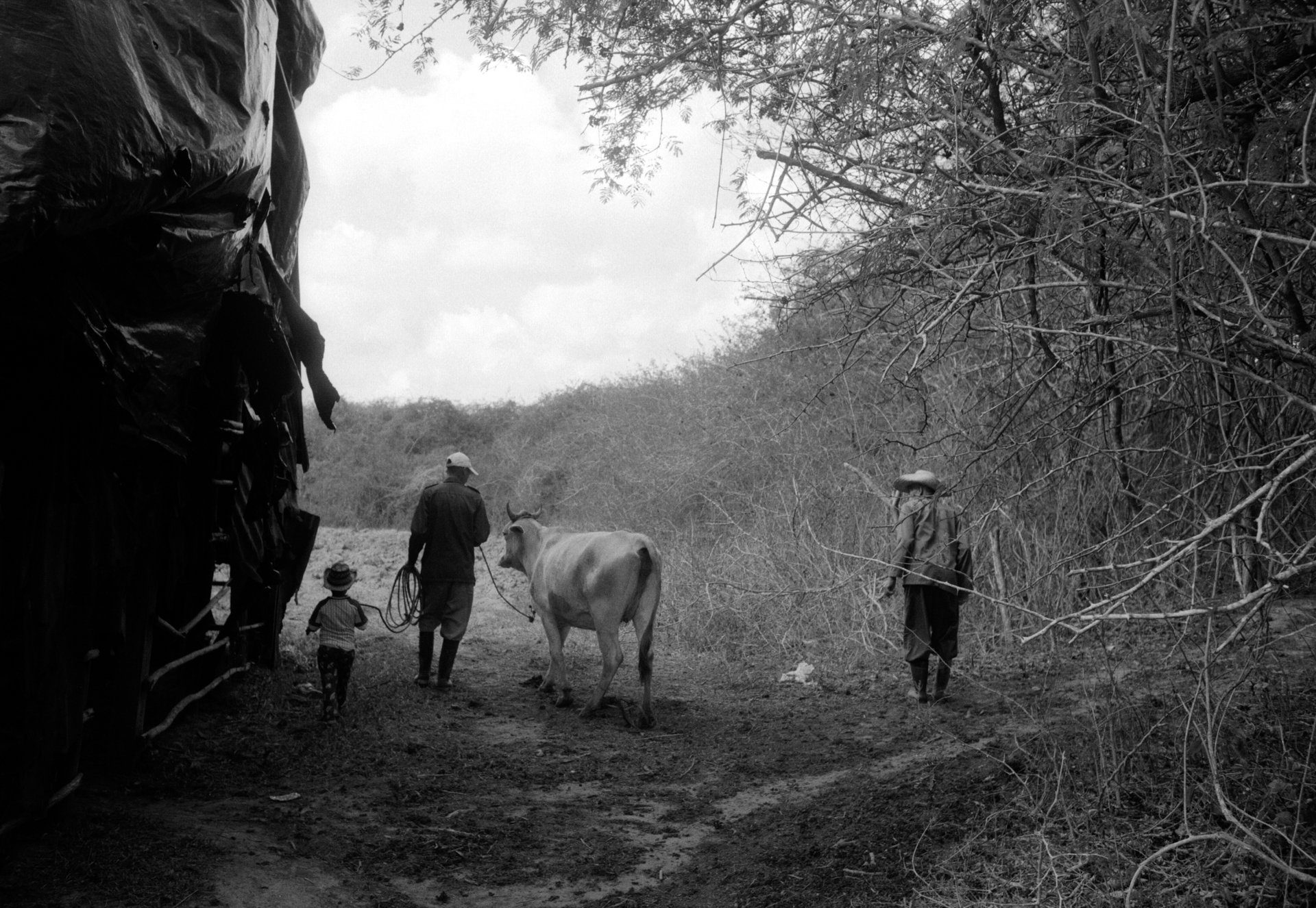 Consolación del Sur, Cuba