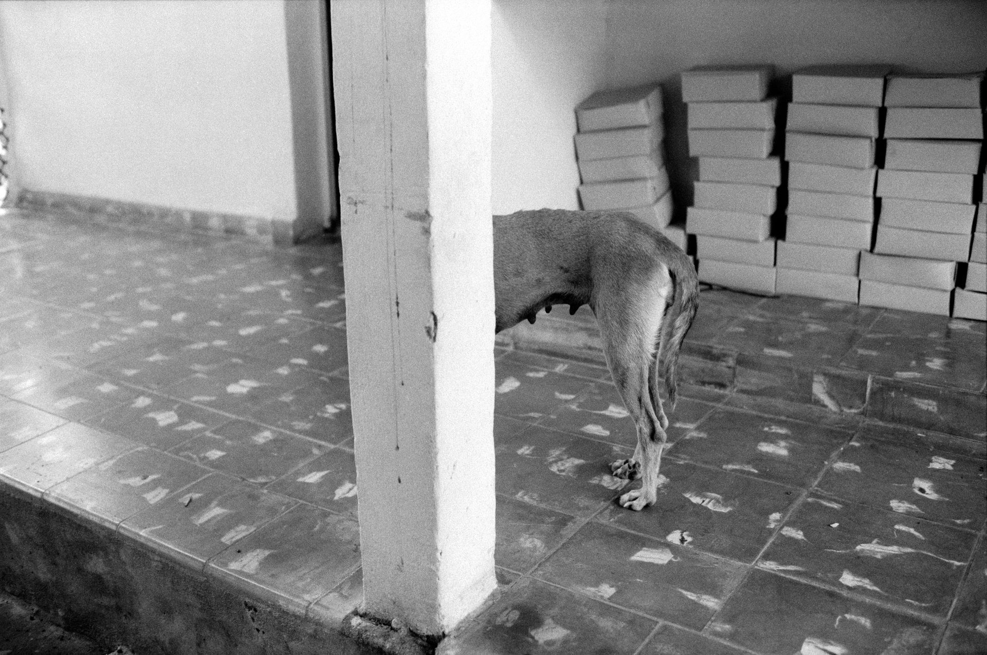 Consolación del Sur, Cuba