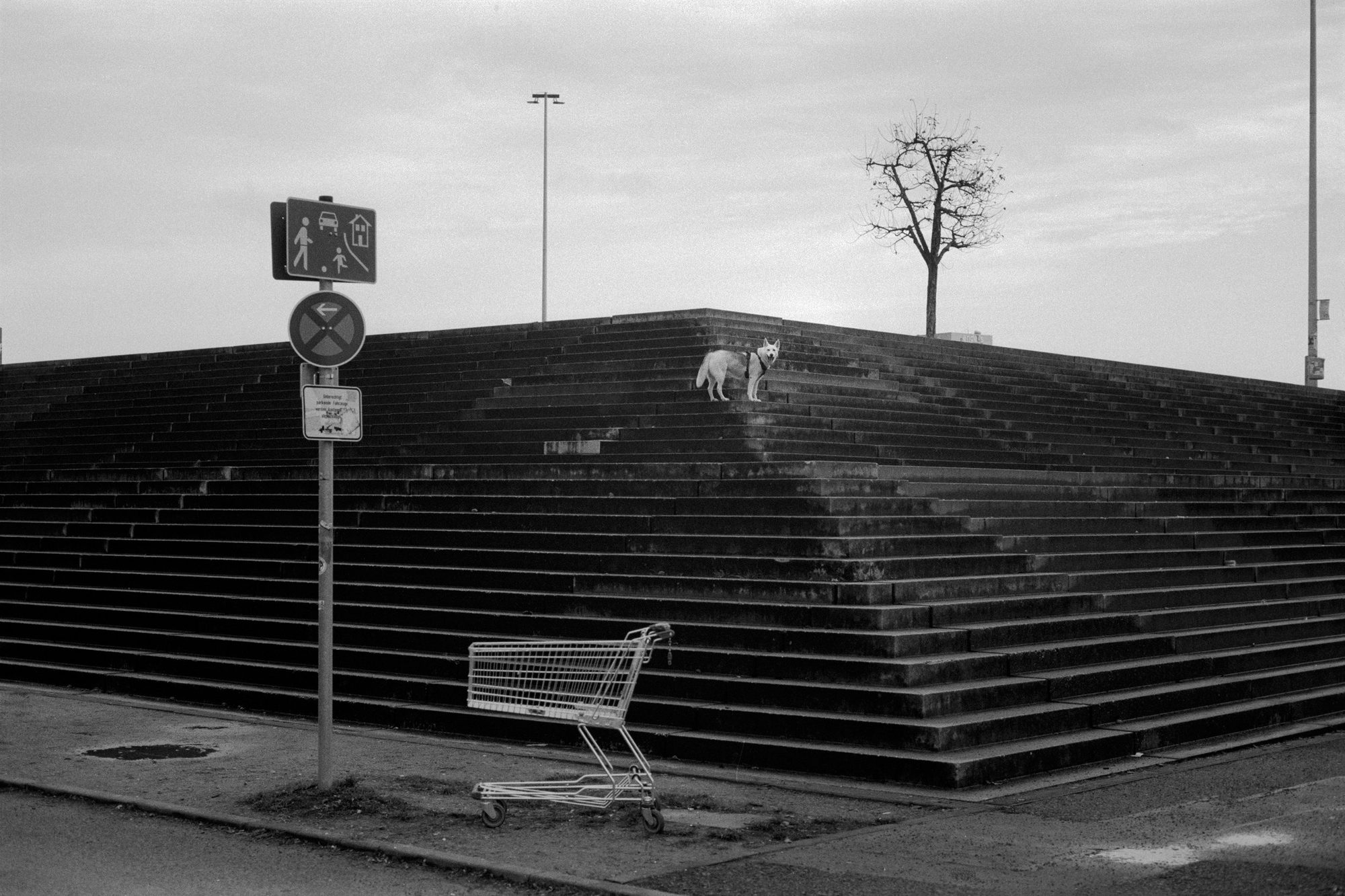 Straßenfotografie