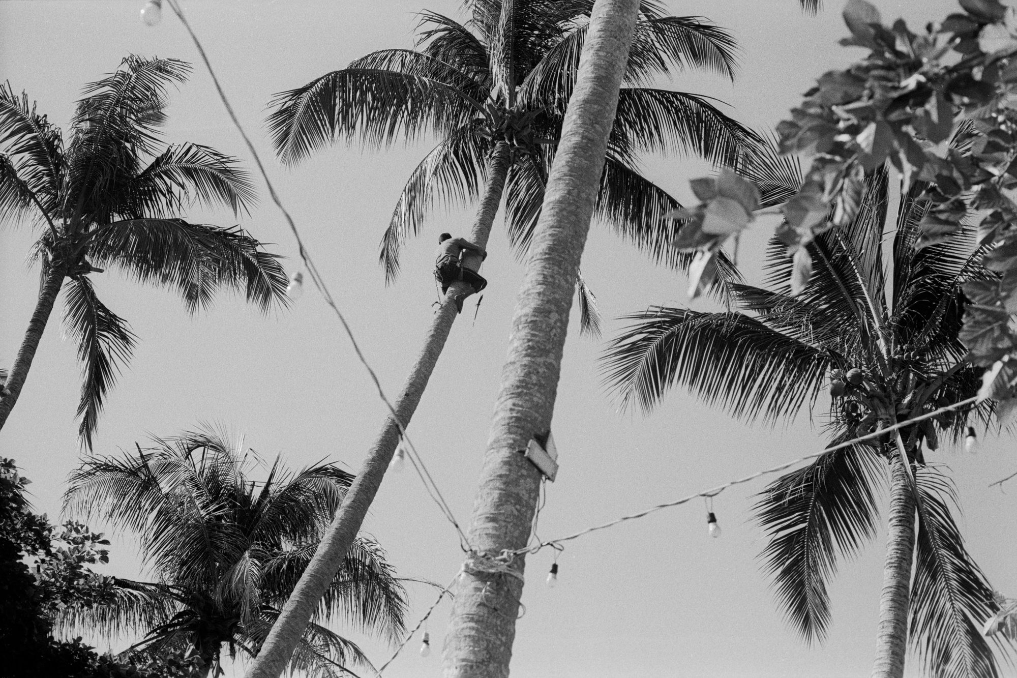 Street Photography